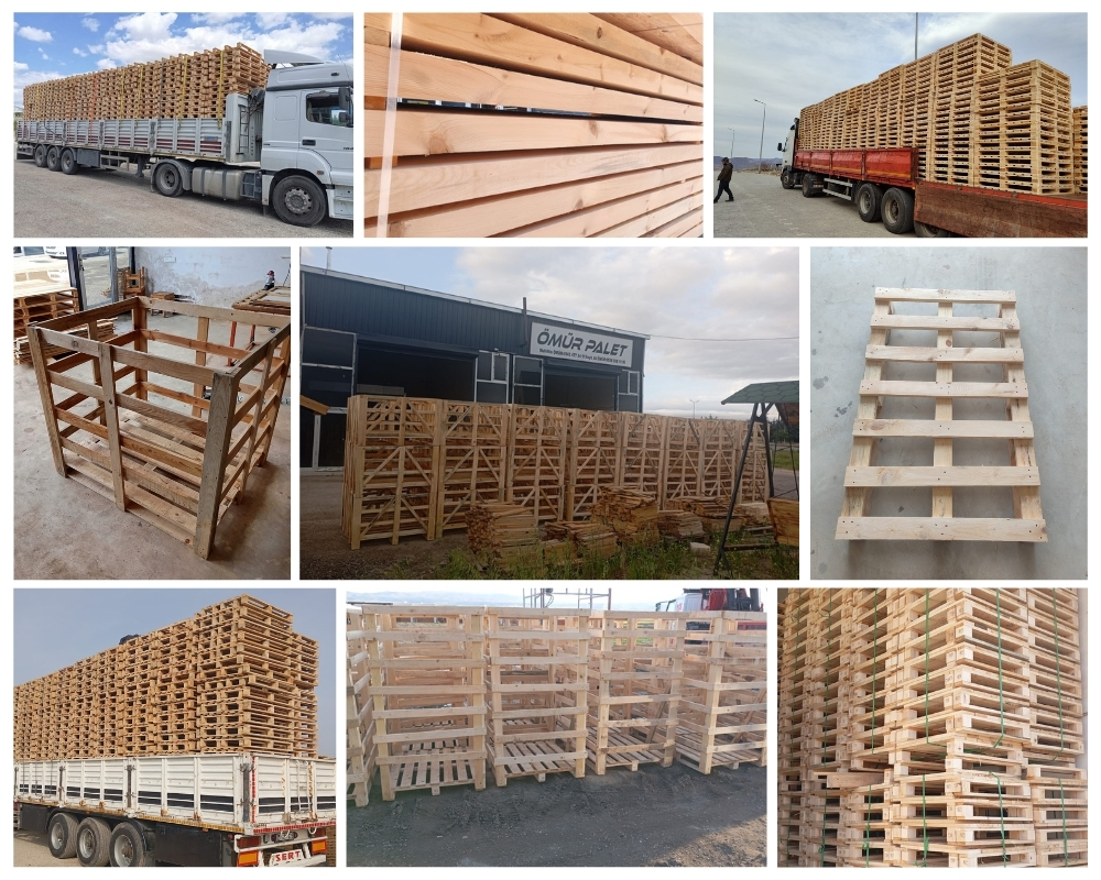 Bexhill-on-Sea Wooden Pallets, Buy Wooden Pallets Wholesale